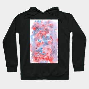 light pink and blue watercolour swirl Hoodie